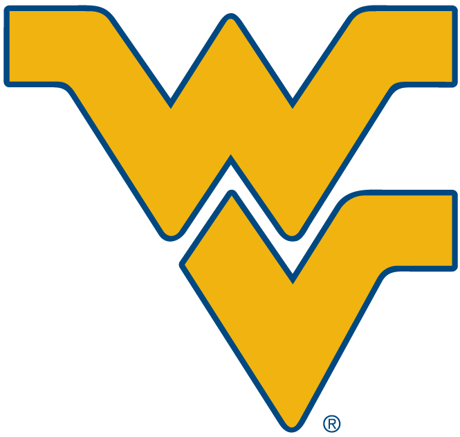West Virginia Mountaineers 1980-Pres Alternate Logo v2 DIY iron on transfer (heat transfer)